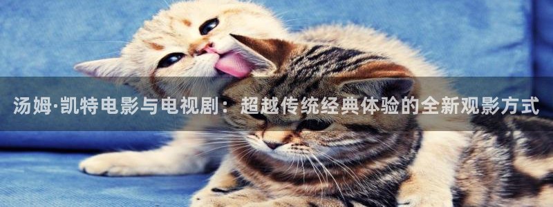 老濕電影網：湯姆·凱特電影與電視劇：超越傳統經典體驗的全新觀影方式