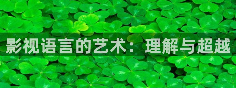 老濕一影院：影視語言的藝術(shù)：理解與超越