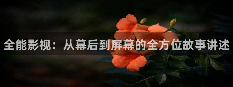 老濕影院視頻：全能影視：從幕后到屏幕的全方位故事講述