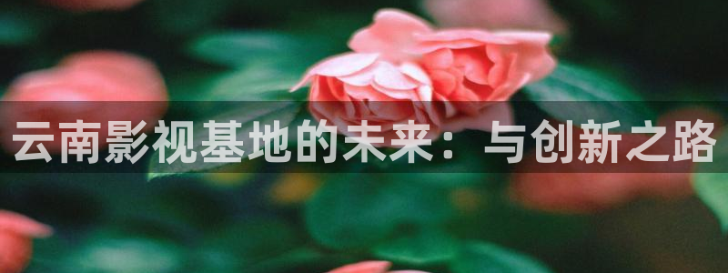 亞洲老濕機影院：云南影視基地的未來：與創新之路